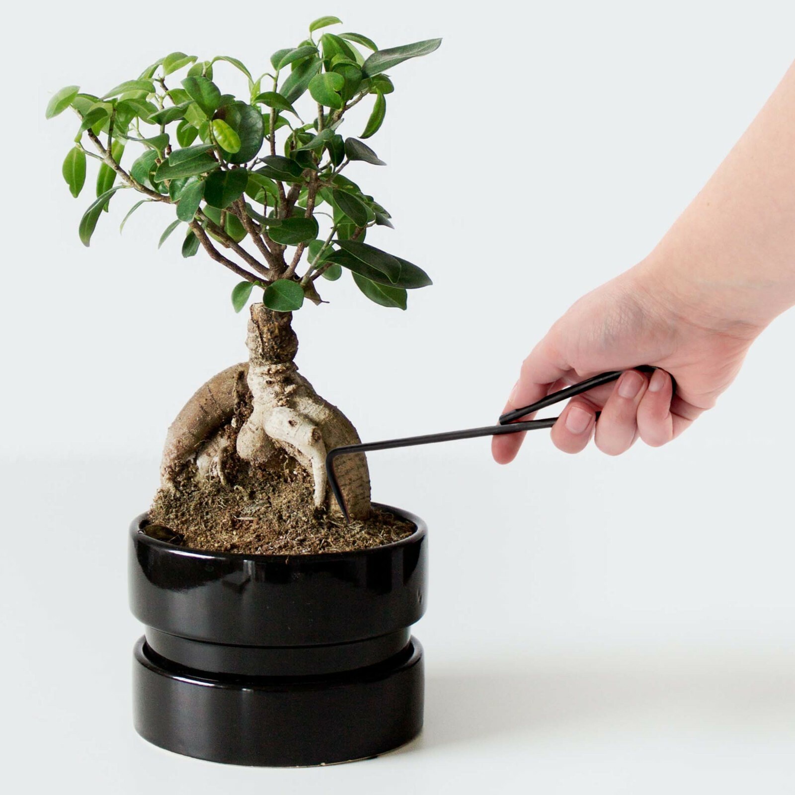 BambooMN Brand - 2 Piece Root Set - 9" Root Pick and 9" Root Rake gallery
