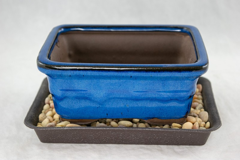 6" Rectangular Dark Blue Shohin Bonsai/Succulent Pot + Tray + Rock + Mesh Combo gallery