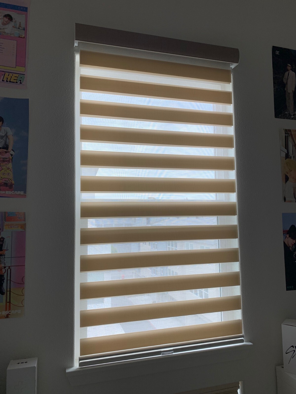 GoDear Design Cordless Light Filtering Zebra Roller Shade Blinds 35"W x 72"L Tan gallery