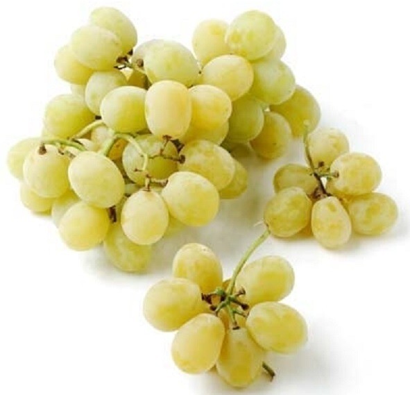 GRAPE "Cottton Candy" 3 grape vines cuttings (fresh, 3-4 nods)