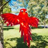 In the Breeze Red Bird Windsock #5273--24" Wide Colorfully Printed Windsock gallery