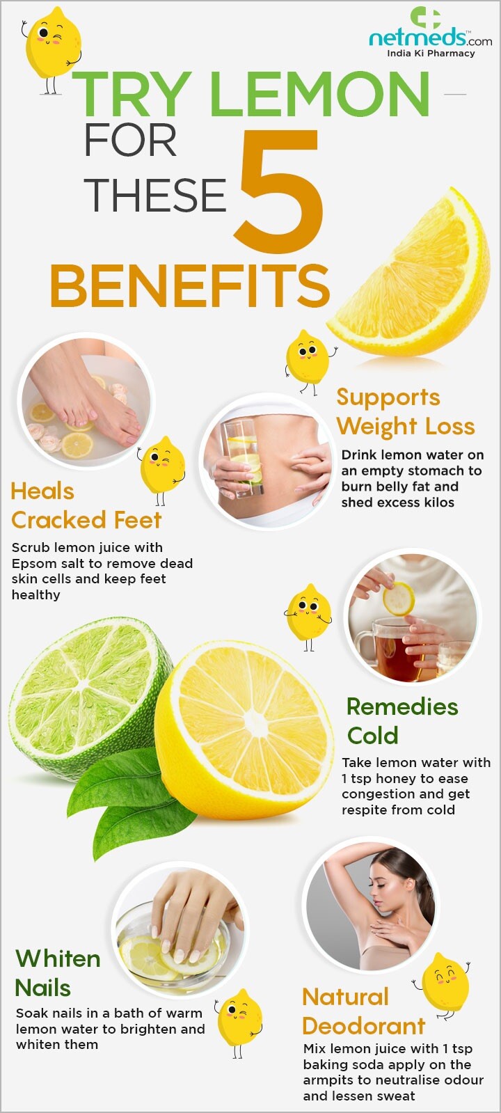 Lemon Fruit - 15 Seeds 2023 - USA gallery