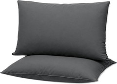 Flat Ultra Thin Bed Pillows Standard/Queen Size Pillow Set of 2 Extra Soft Down