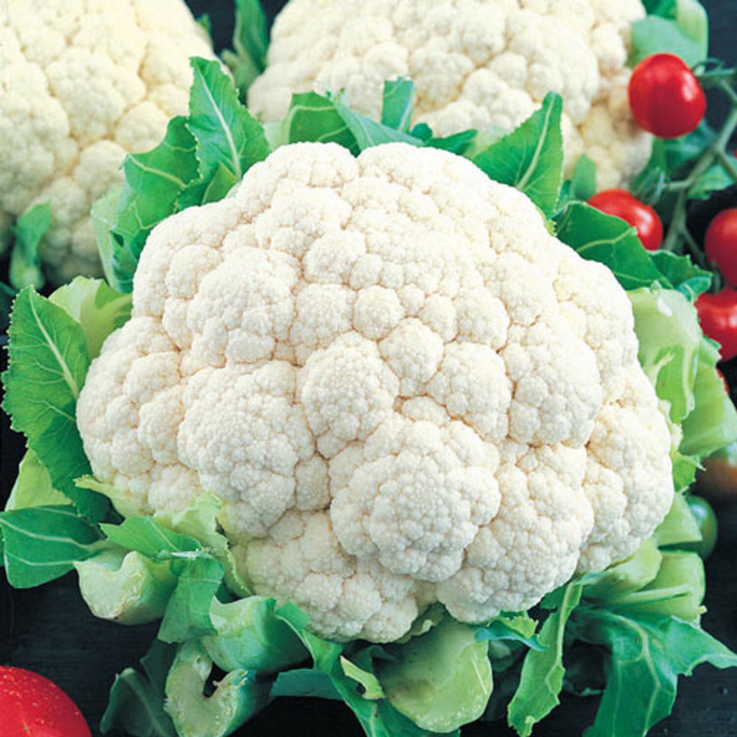 Snowball Improved Cauliflower Seeds | Non-GMO | Heirloom | Fresh Garden Seeds gallery