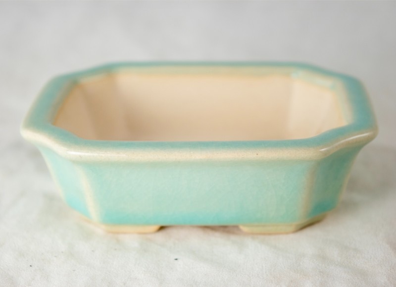 Fine Rectangular Cactus & Succulent, Mame Bonsai Pot + Mesh 4.25"x 3.5"x 1.25" gallery
