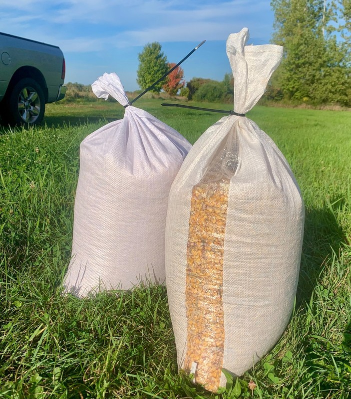 Shelled Corn Premium Wildlife, Bird, Animal Feed 10 lb Ship included Low Price gallery