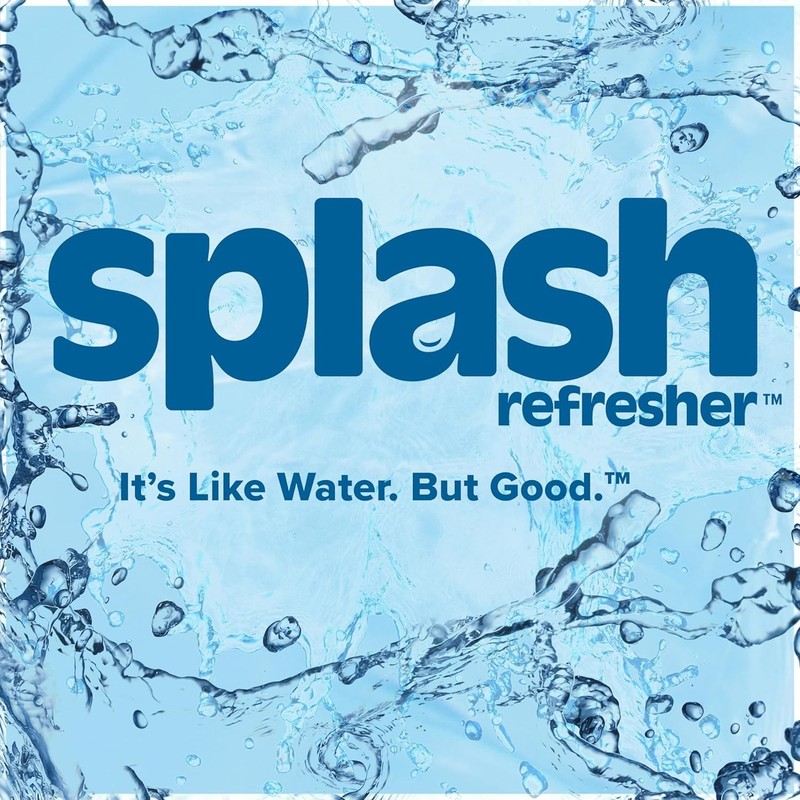 Splash Refresher Lemon Flavored Water, 16.9 Fl Oz, Plastic Bottle Pack of 6 gallery