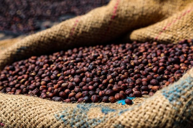Peru Single Origin Coffee | Organic | Medium Roast | Fresh Roasted gallery