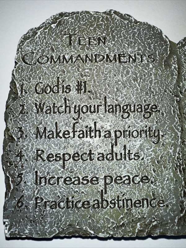 Teen Commandments Motivational Frame gallery