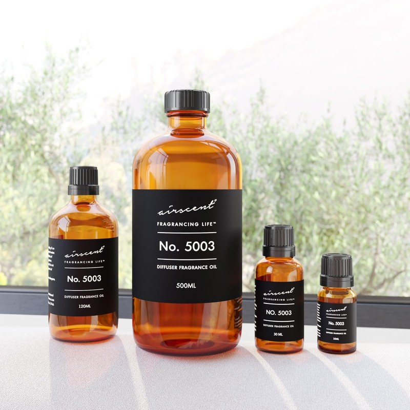 Coco-Inspired Aroma Diffuser Oil - Essential Oil Blend for Aromatherapy 500ml gallery