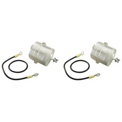 Raypak 017960F Protek Shield Assembly (2 Pack)