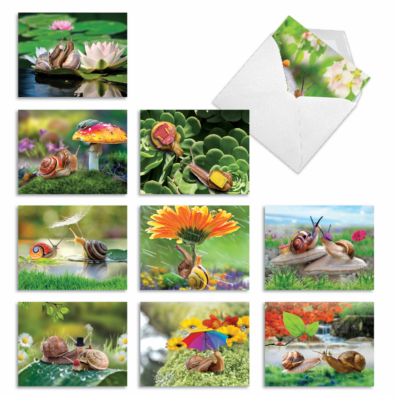 10 Assorted All Occasion Blank Note Cards - A SNAIL'S PACE M2349OCB gallery
