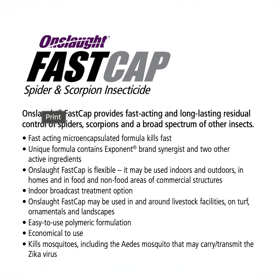 Onslaught FastCap Spider and Scorpion Insecticide 8 fl oz Bottle by MGK gallery