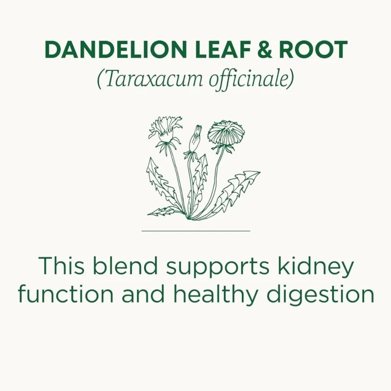 Dandelion Leaf & Root Tea 16 Bag gallery