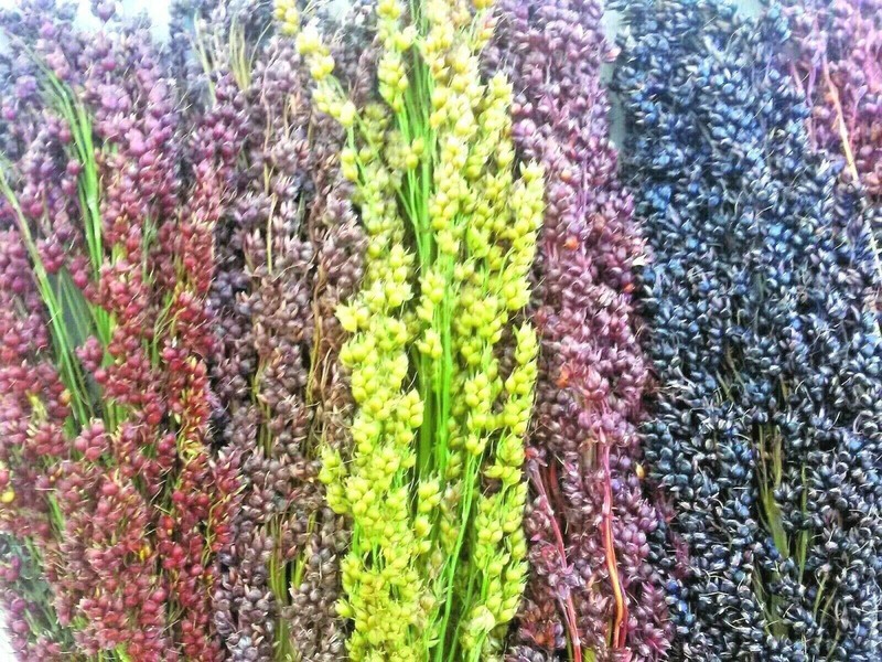 Broom Corn Seed Multi Color Crafts Home Accents Gold Red Bronze Purple Brown joc gallery