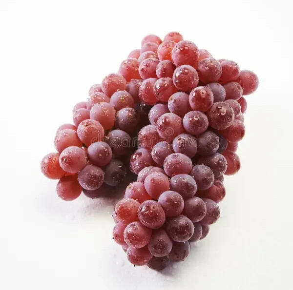 100++ Table Grape Seedss (Vitis vinifera) var. Delaware Grape gallery