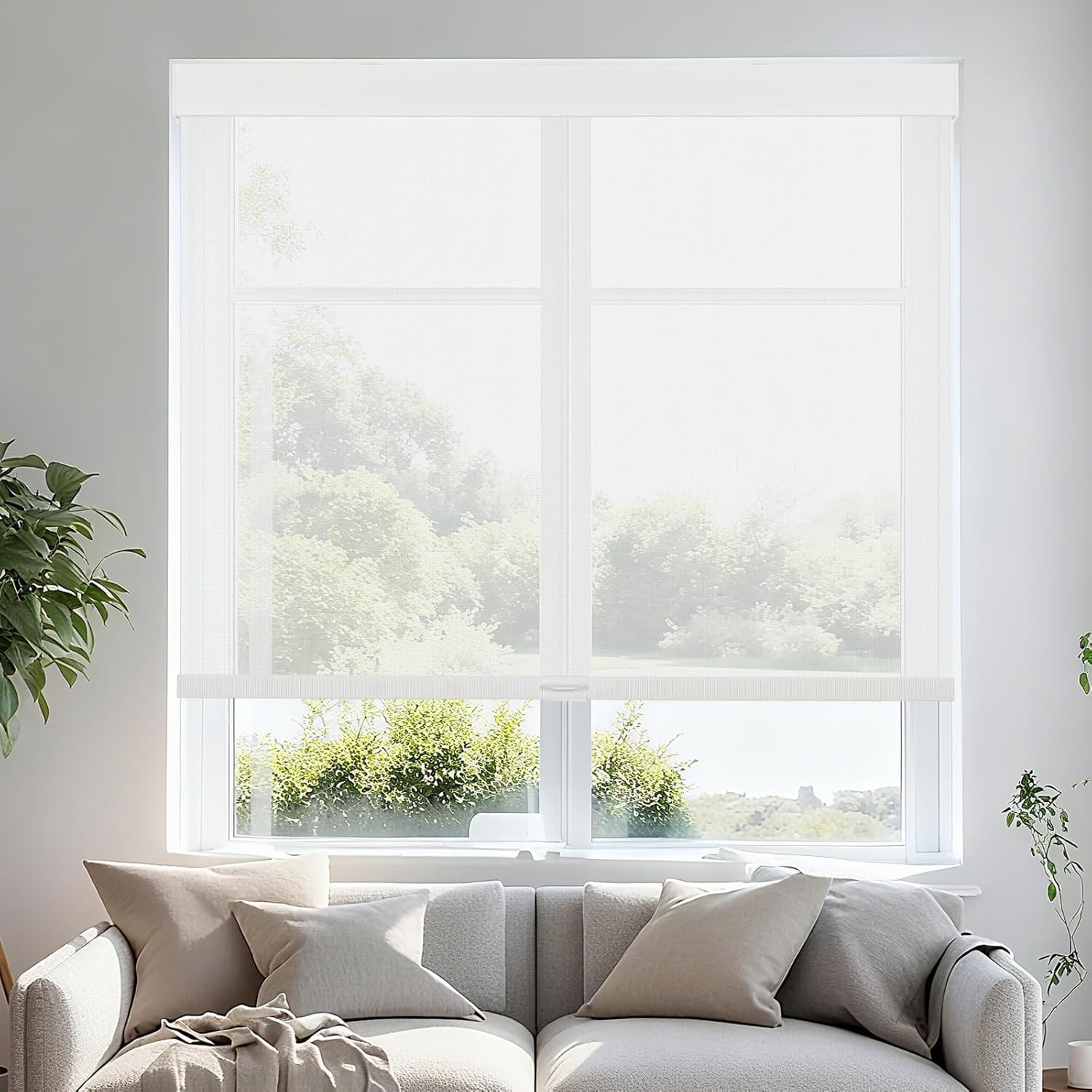 Free-Stop Cordless Roller Shades for Windows Light Filtering Shades, 5% Openness gallery