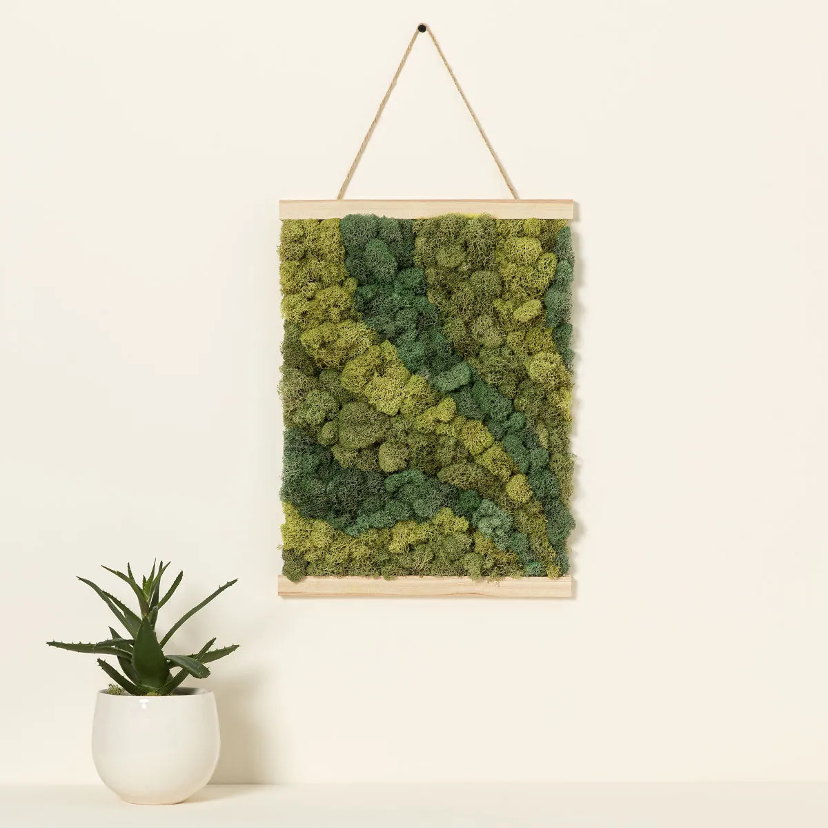 Moss Art by Numbers-UncommonGoods|12367 gallery