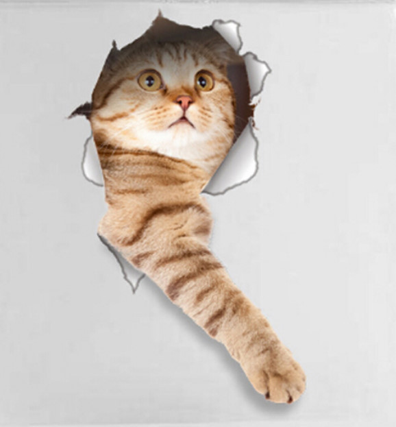 CAT IN A HOLE 3D Removable 13" x 7" Die-cut Wall / Refrigerator Decal (14148) gallery