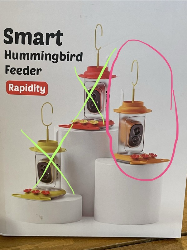 Smart Hummingbird Feeder with Camera Color: Orange gallery