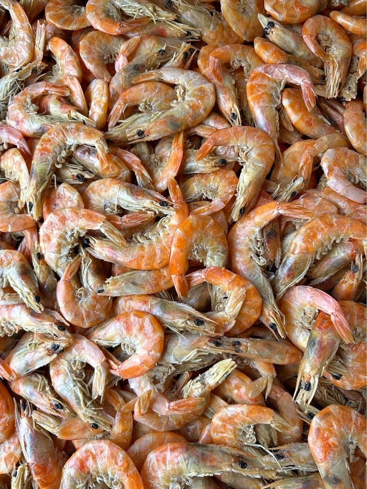 Dried Shrimp - Bulk - Medium Size- Camaron Entero Seco - Mexico Harvested 5 Lbs gallery
