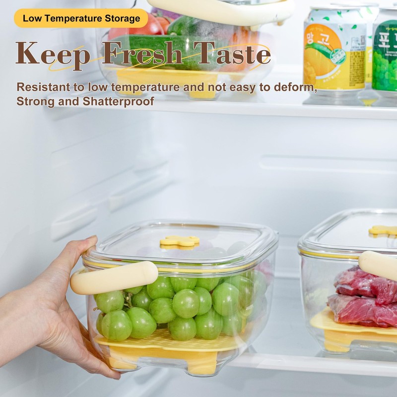 Fruit and Vegetable Storage Container with ice Pack, Fruit Vegetable Fresh Bo... gallery