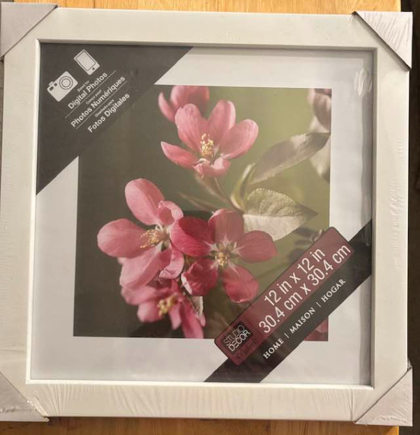 Photo Frame - Studio Decor by Michaels - White - No Mat - No Glass - New gallery