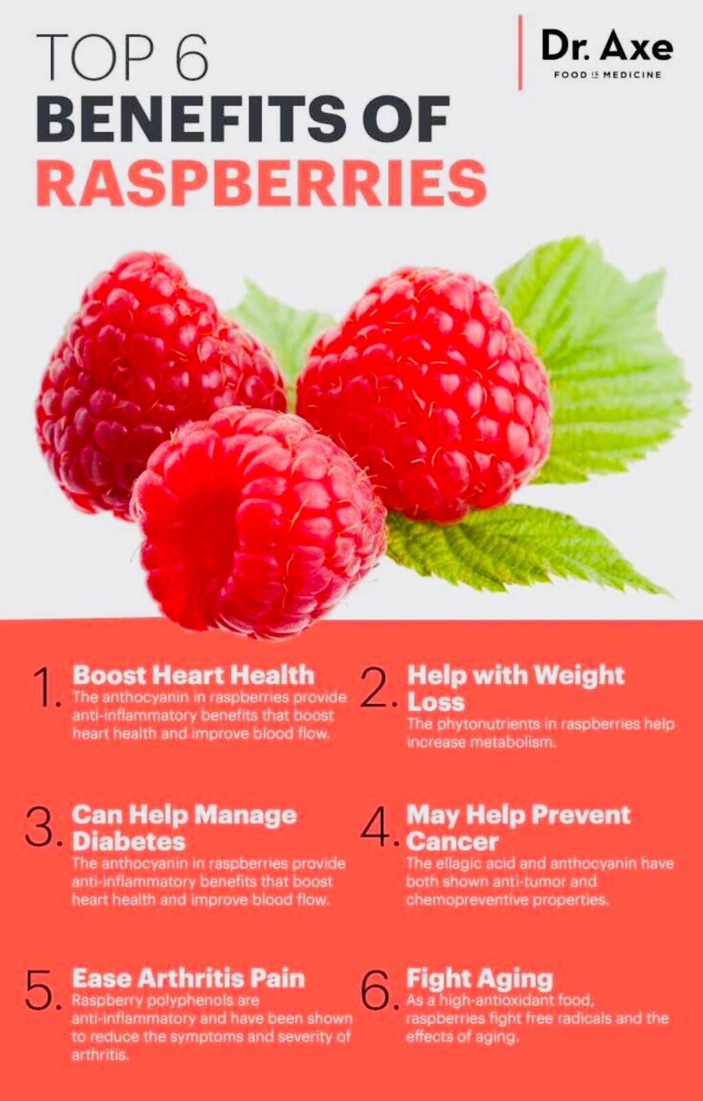 50+PCS Red Raspberry {Rubus idaeus} seeds NON-GMO Free Shipping! gallery