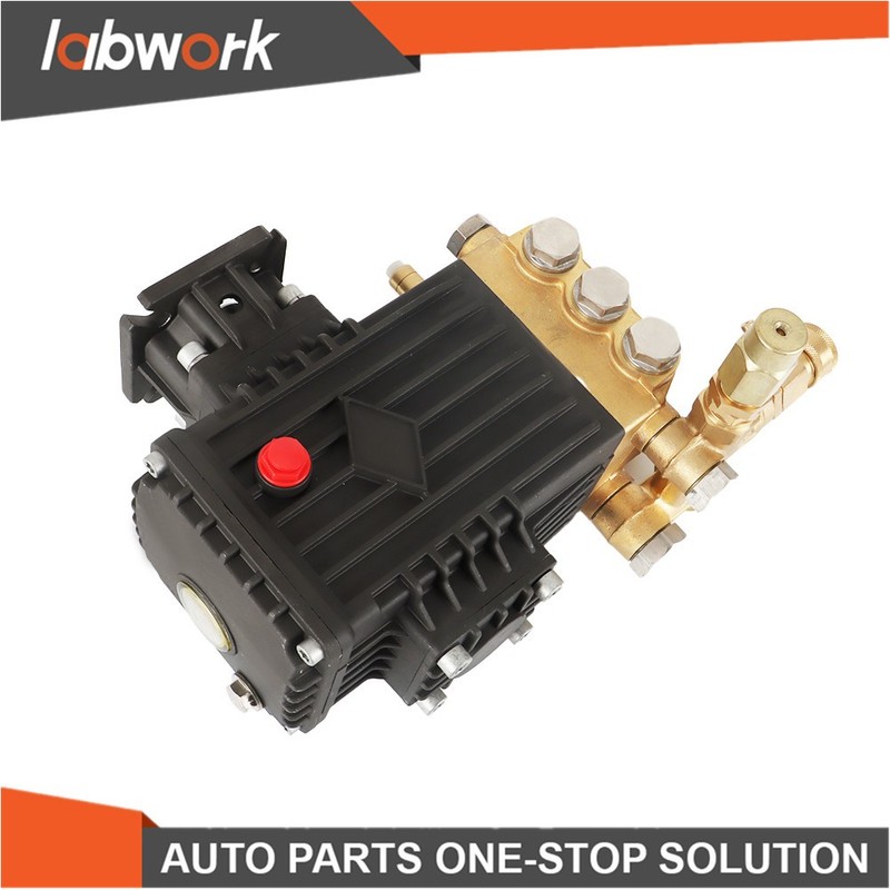 Labwork 3000 PSI Pressure Washer Pump CF 3030 G: 3.1 US gpm 3/4-in Shaft gallery