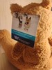 Humane Society Cat Door Draft Stopper 35 Inches X 4 Inches gallery
