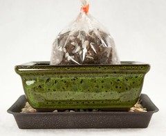 6″ Rectangular Moss Green Shohin Bonsai Pot + Soil + Tray + Rock + Mesh Kit