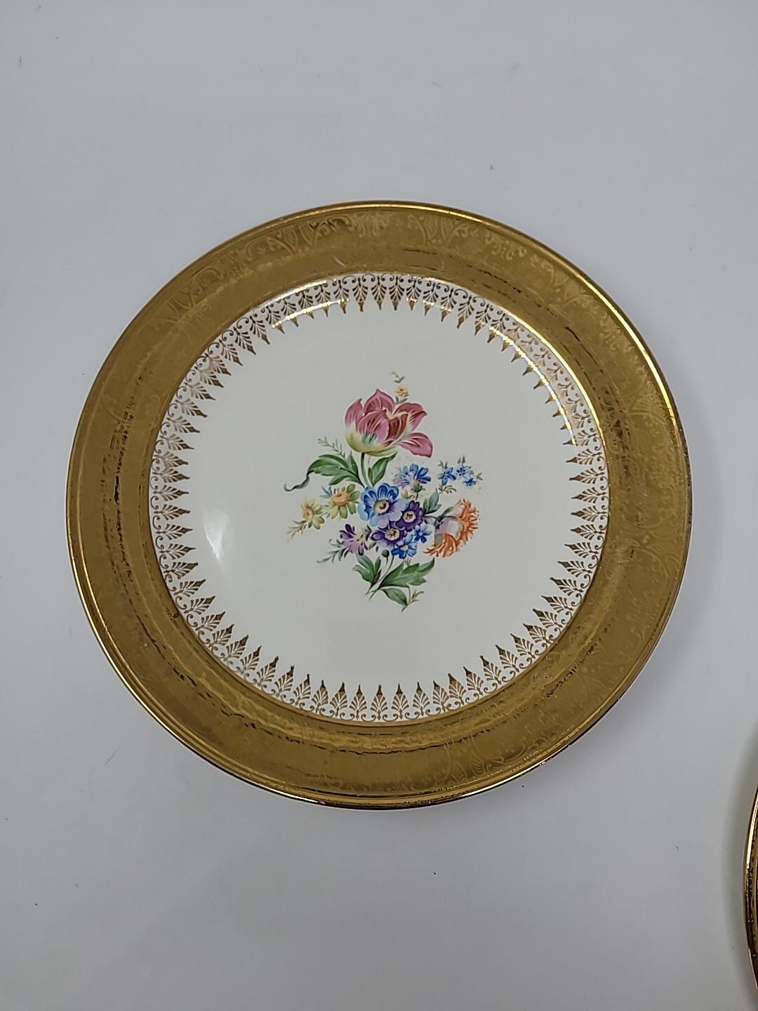 Set Of Two Eggshell Nucleus C46n5 Vogue Dinnerware 10-in Dinner Plates 22 Karat gallery