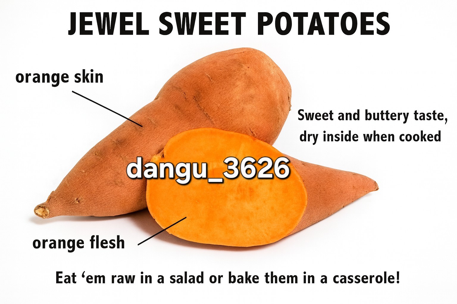 10 Orange Sweet Potato Slips Copper Jewel Variety–90 Days | Organic Luxury Slips gallery