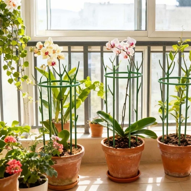 20-Pack Stackable Monstera Plant Support Stakes for Climbing Plants Stem Support gallery