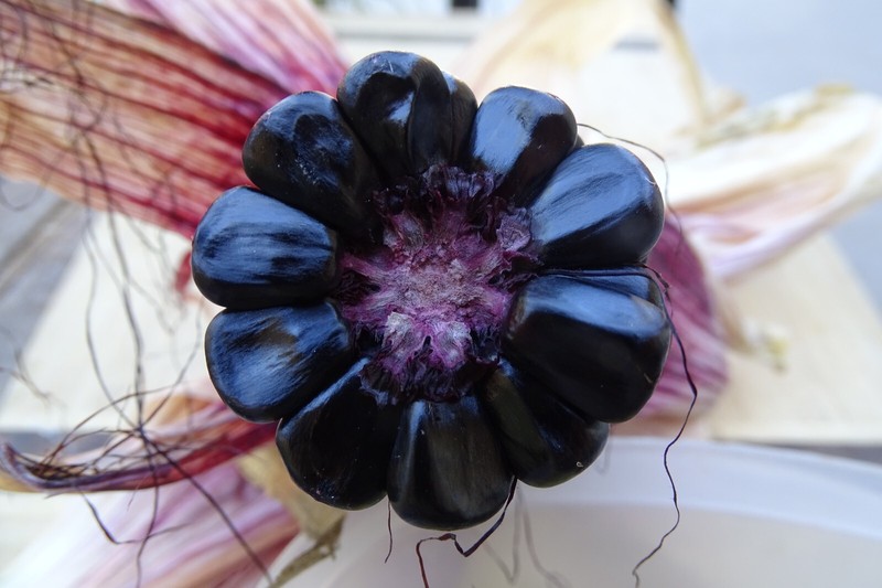 Maize Morado - Black Corn from Peru gallery