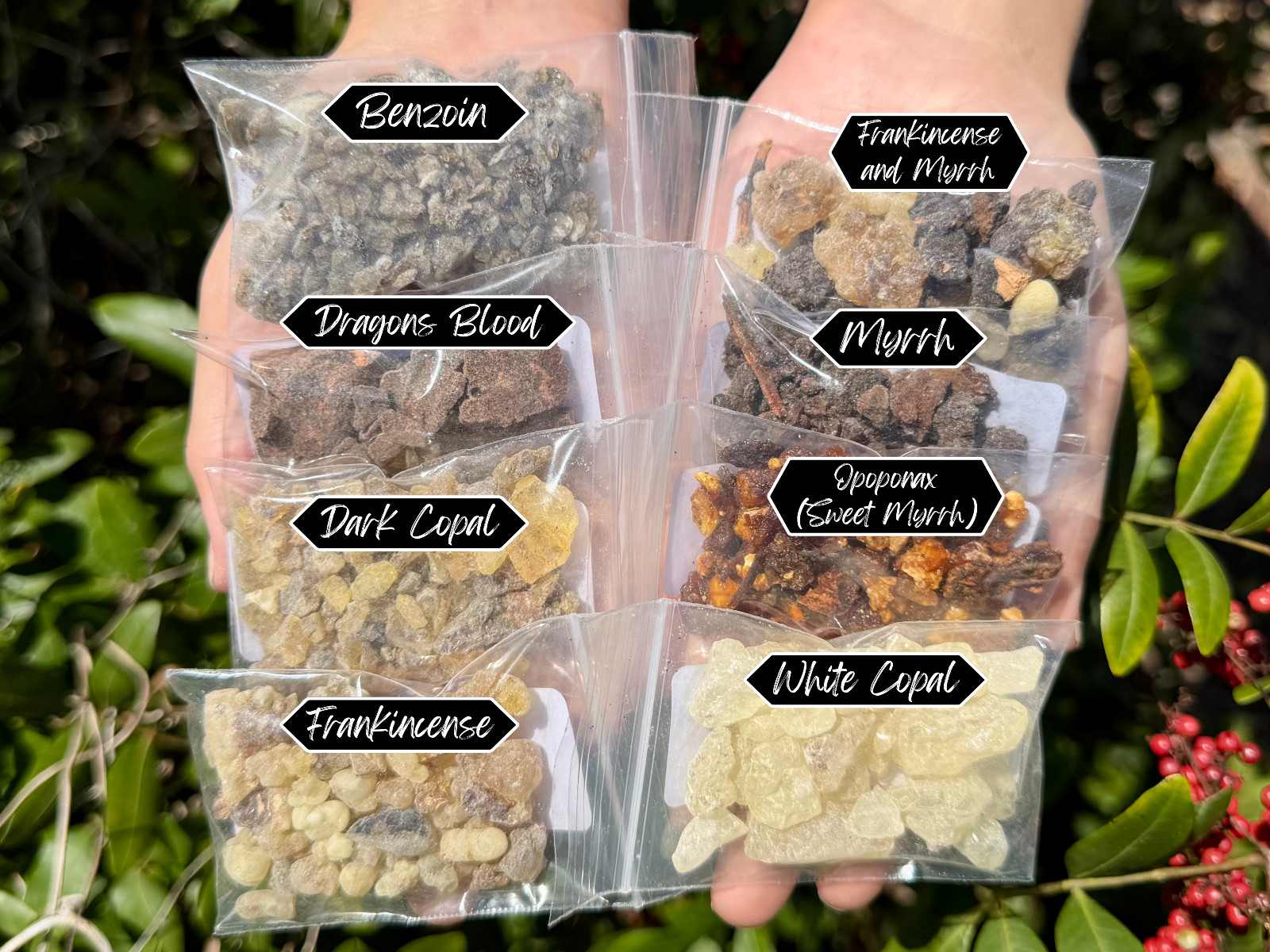 ULTIMATE Incense Resin Sampler: Set of 8 Scents (Natural Resins Starter Kit) gallery