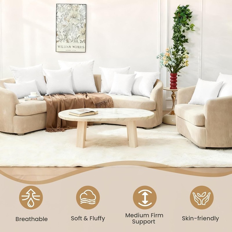 22x22 Throw Pillow Insert Down Feather Pillow Insert Soft White Bedroom Couch gallery