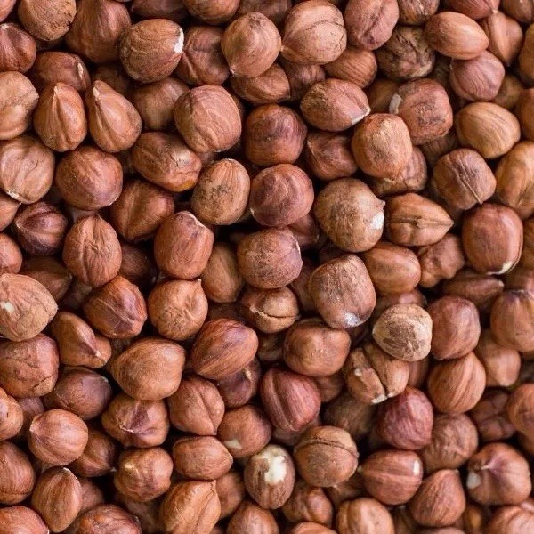 Turkish Natural Shelled Hazelnut Always Fresh 2025 Crop 11 oz.to30 lbs. AgroSun gallery
