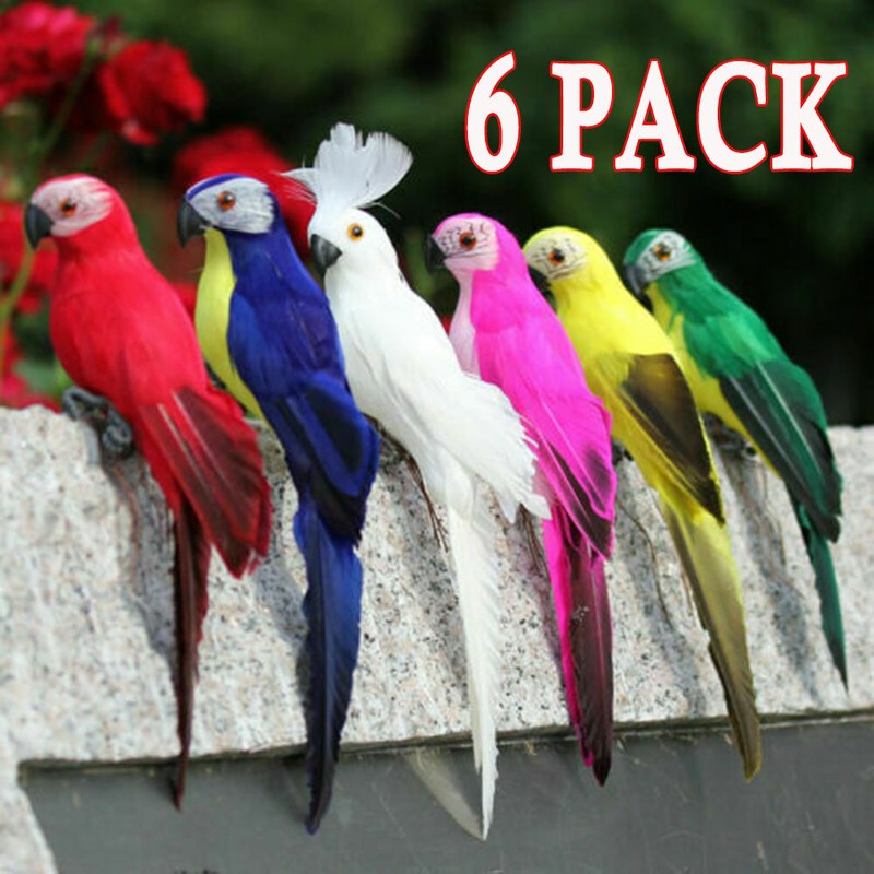 Large 6Pc 25cm Artificial Parrot Bird Realistic Home Decor Taxidermy Decorations gallery