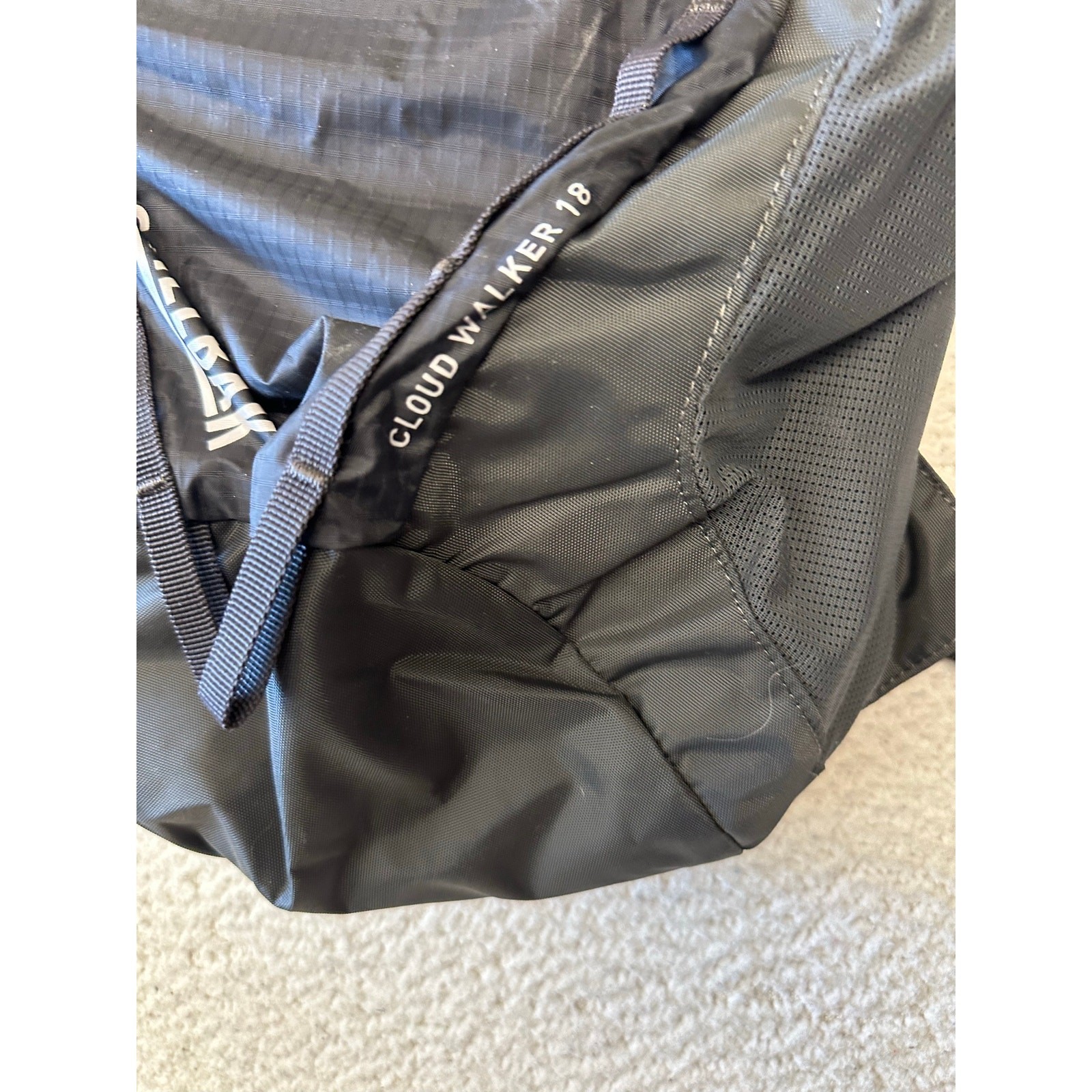 Camelbak Cloud Walker 18 Backpack 5