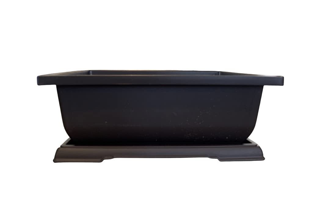 Large Bonsai Pot and Drip Tray - 11 inch Rectangle Container with Tray gallery