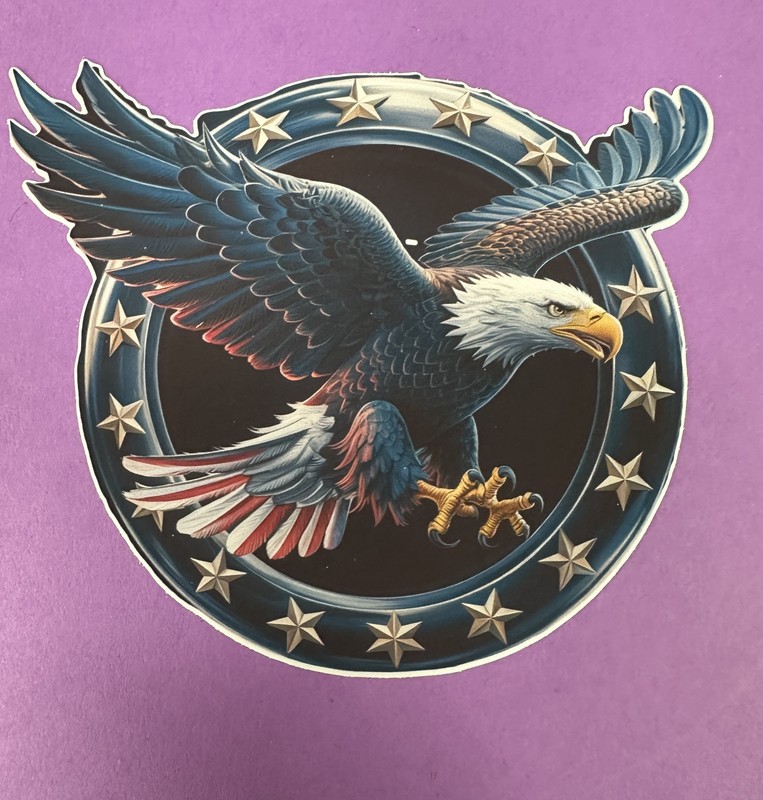 5 inch Patriotic Bald Eagle Circle American Flag Vinyl Sticker Decal USA gallery