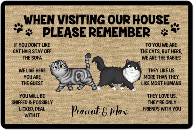Please Remember When Visiting Cats House Cat Doormat Welcome Mat Cat gallery