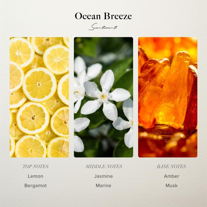 Ocean Breeze Diffuser Oil - Premium Hotel Scent with Notes of Bergamot, Lemon... gallery