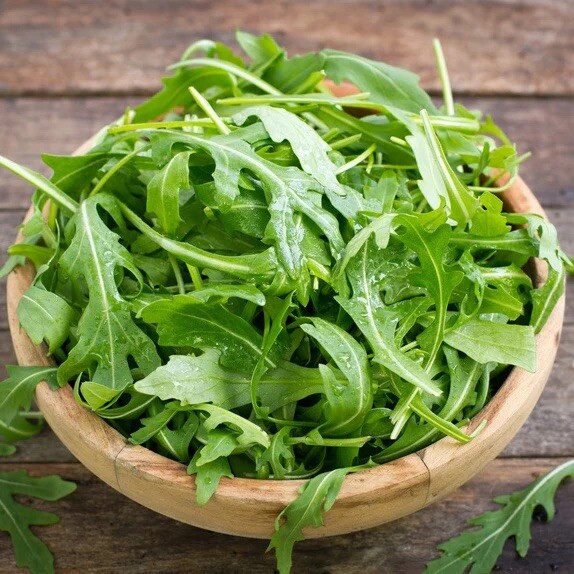 ORGANIC ARUGULA SEEDS -Microgreens, NON-GMO- 1200 Seeds gallery