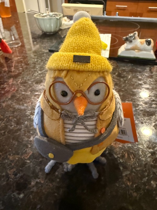 Target Birds Spritz Hyde & Eek Featherly Friends YOU PICK nwt BULK DISCOUNTS gallery