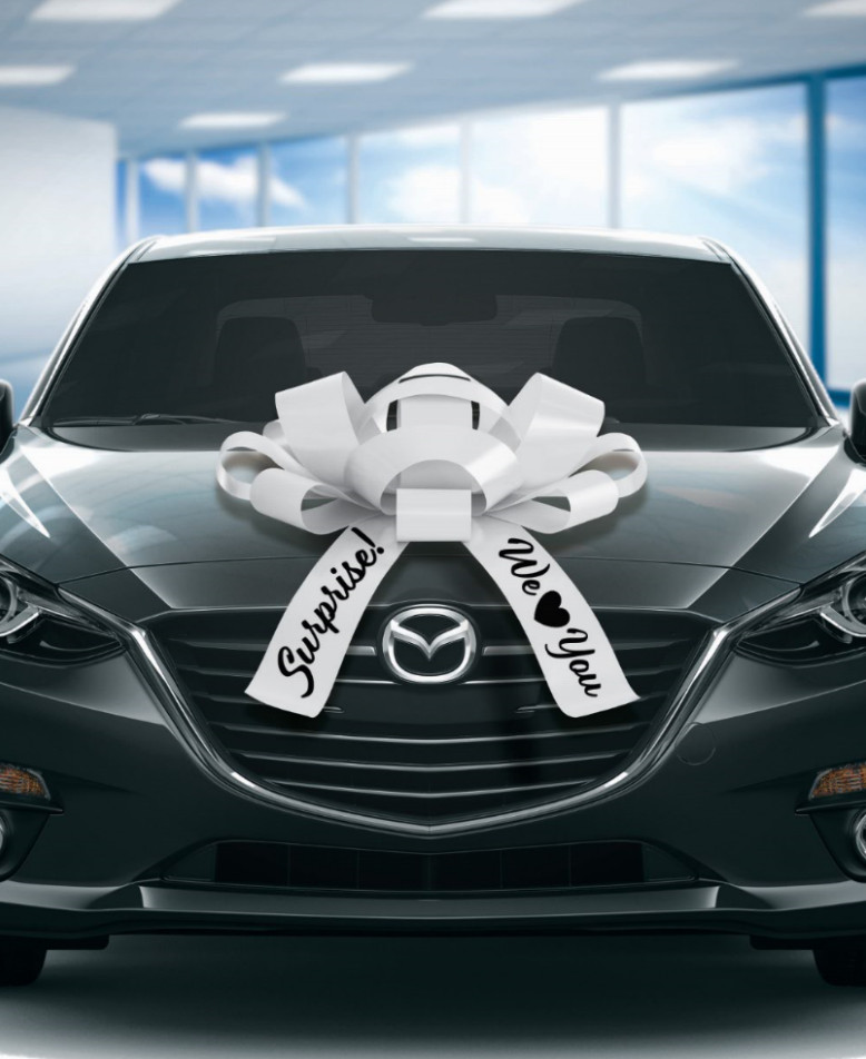 Extra Large Car Bow | Vinyl, Magnetic Back, No Scratch | Huge Car Bow | BIG BOW! gallery