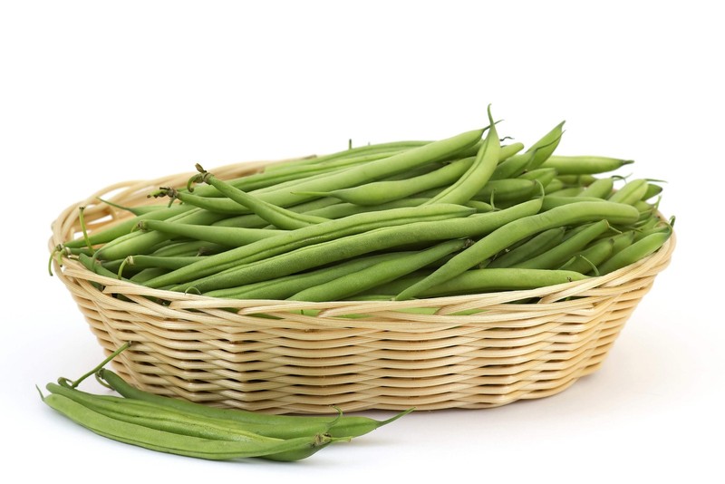 50 BURPEE STRINGLESS GREEN POD BEAN French Phaseolus Vulgaris Vegetable Seeds gallery