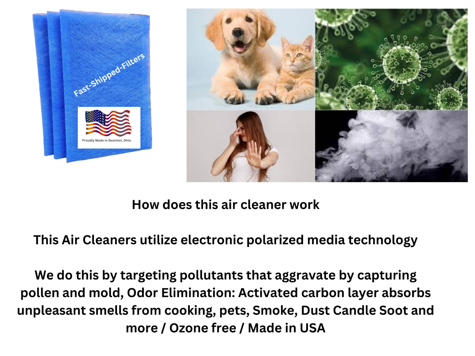 Fast-Shipped-Filters 10 Pack Biologic3 Air Cleaner Replacement Filters Blue gallery