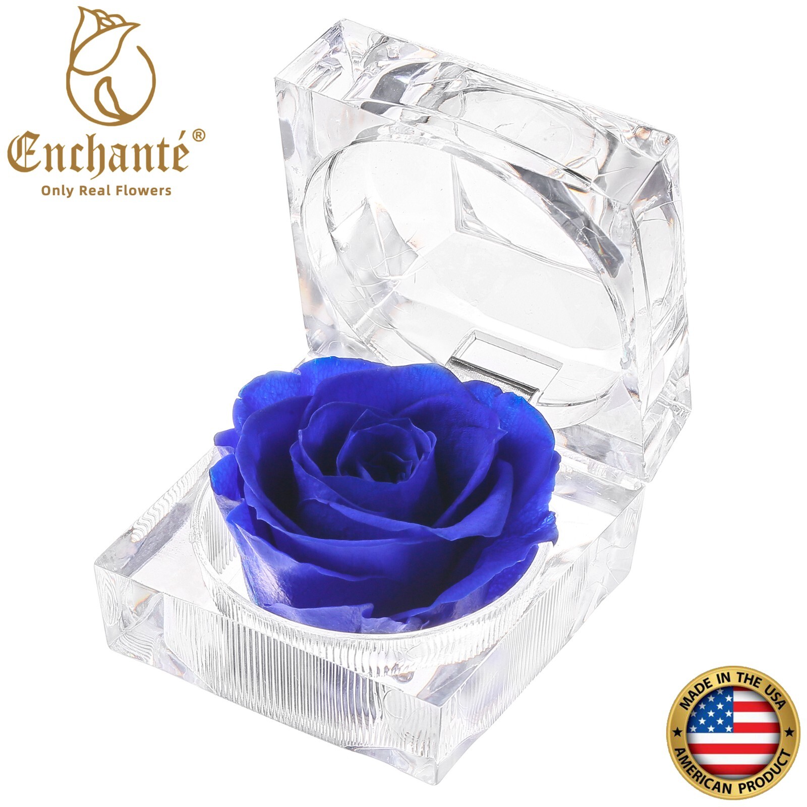REAL Preserved Eternity Forever Rose Ring Box Proposal Valentine's Day Gift gallery